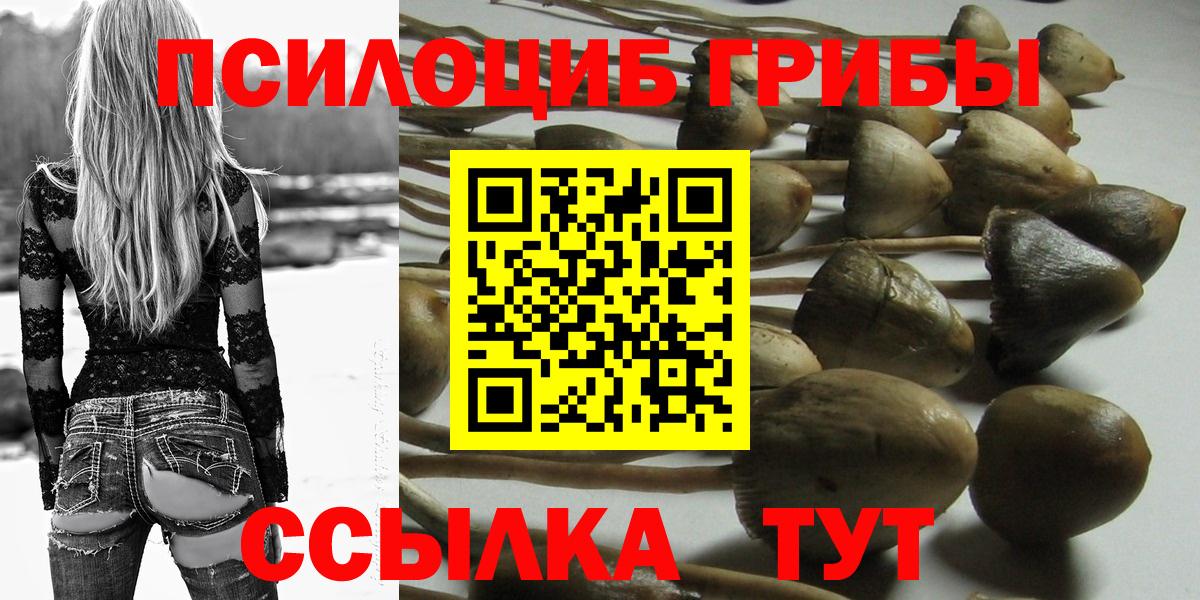 купить  цена  Галлюциногенные грибы мухоморы  Вход с VPN  Муром  Галлюциногенные грибы Psilocybe 