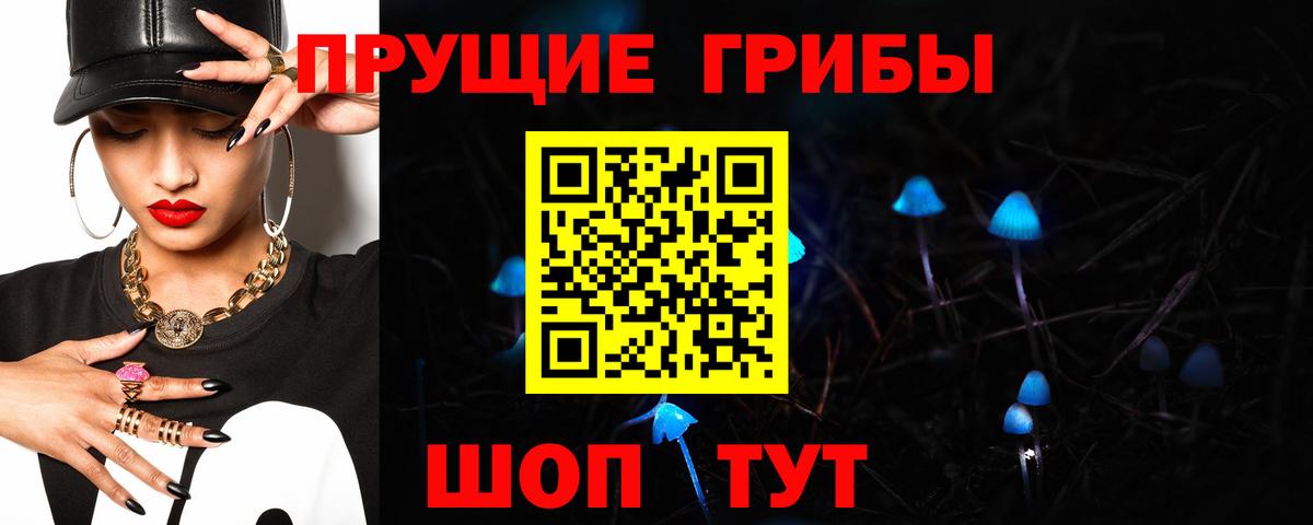Галлюциногенные грибы Psilocybine cubensis Муром
